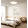 Išmanusis Xiaomi lubinis šviestuvas D30 WiFi 30W