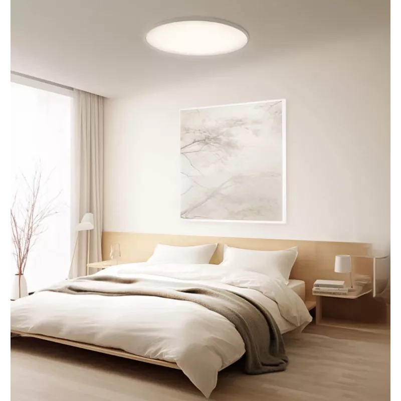 Išmanusis Xiaomi lubinis šviestuvas D30 WiFi 30W