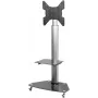 Sieninis TV laikiklis SpeaKa Professional SP-TVRW-01, iki 55 colių, VESA 400x400 mm