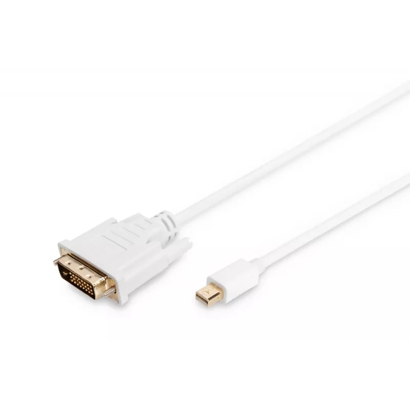 Kabelis DisplayPort 1.1a mini DP-DVI tipas MM 2.0m