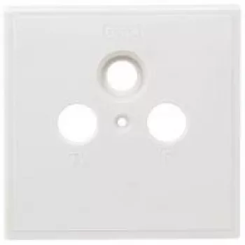 Axing SZU 2-01 Kištukinių lizdų uždengimo plokštelė - 80x80 mm, tinka BSD 963-xx