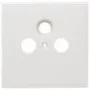Axing SZU 2-01 Kištukinių lizdų uždengimo plokštelė - 80x80 mm, tinka BSD 963-xx