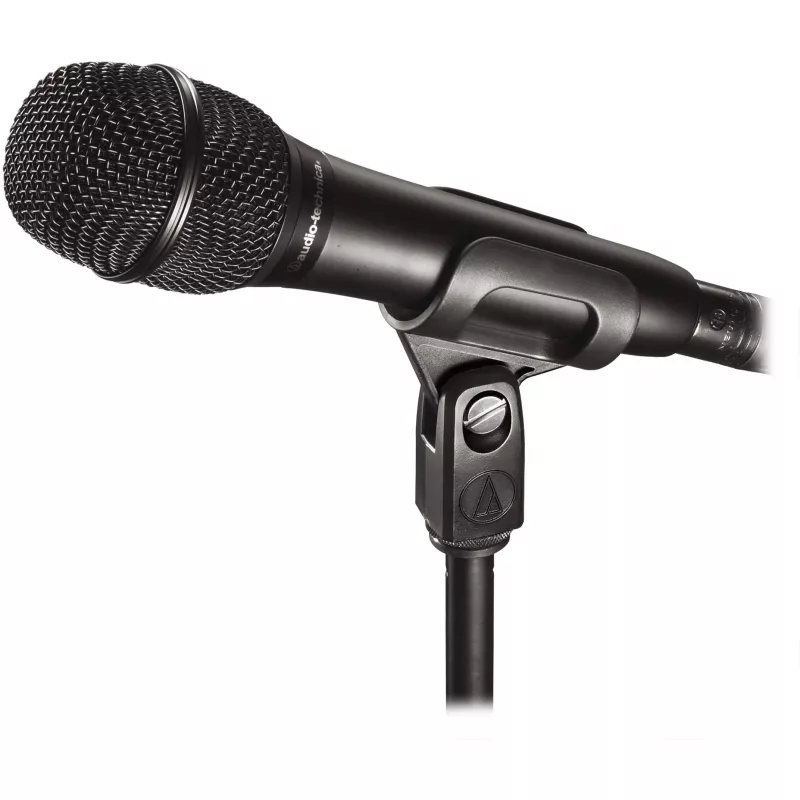 Mikrofonas Audio-Technica AT2010