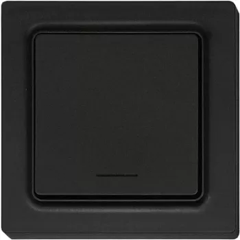 Eltako belaidis 1 kanalo mygtukas Antracito matinis F1T55E-am (30055722)