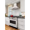 SMEG Skrudintuvas TSF03PGEU pastelgreen