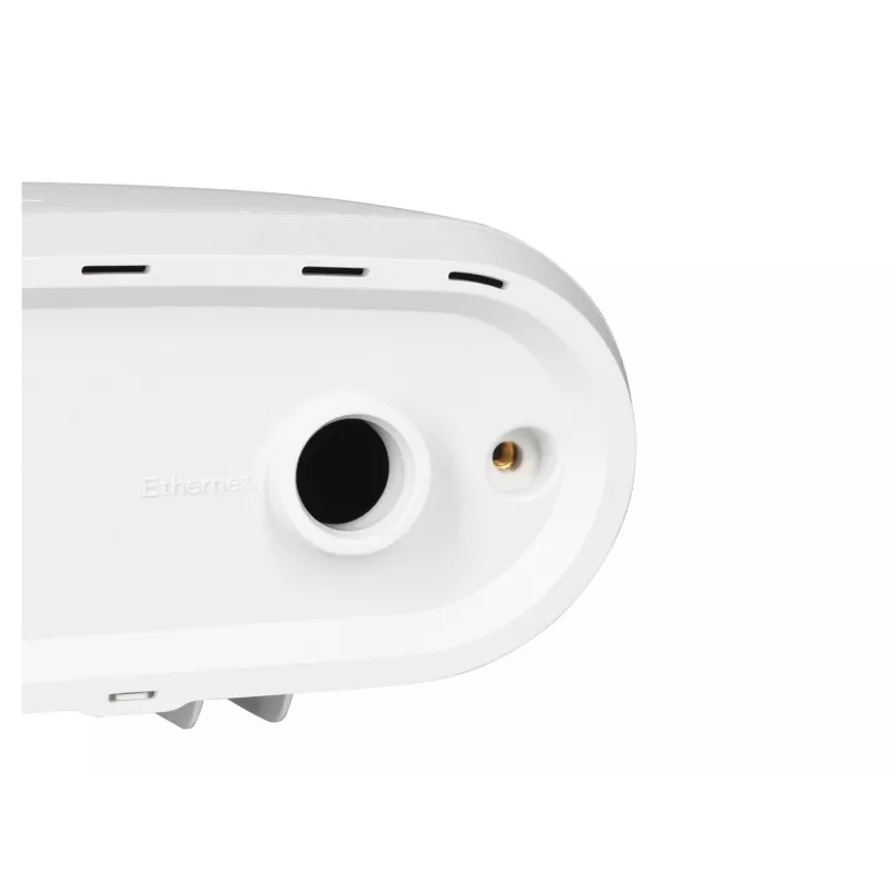 Zyxel ACCESSORY-ZZ0102F apsauginis dangtelis belaidžio tinklo prieigos taškui