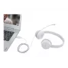 Lenovo GXD1E71385 ausinės / headset Laidinės USB-A Pilka