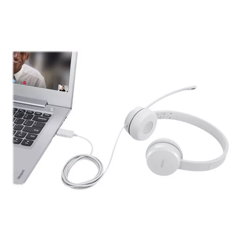 Lenovo GXD1E71385 ausinės / headset Laidinės USB-A Pilka