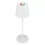 LED stalinė lempa RealPower TableLight 360 RGB 3W IP44 1800mAh