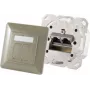 Dvigubas RJ-45 sieninis kištukinis lizdas ShiverPeaks 74280-GR — Cat6a, 500 MHz, metalinis korpusas, pilkas/sidabrinis