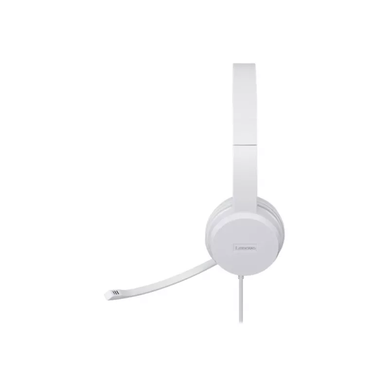Lenovo GXD1E71385 ausinės / headset Laidinės USB-A Pilka