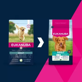 Sausas šunų ėdalas EUKANUBA Adult Large Breed Lamb & Rice 12 kg – pilnavertis sausas ėdalas suaugusiems didelių ir milžiniškų veislių šunims