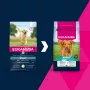 Sausas šunų ėdalas EUKANUBA Adult Large Breed Lamb & Rice 12 kg – pilnavertis sausas ėdalas suaugusiems didelių ir milžiniškų veislių šunims