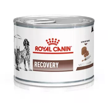 Royal Canin Recovery Adult 195 g šlapias pašaras atsigaunantiems suaugusiems šunims – paukštiena