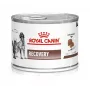 Royal Canin Recovery drėgnas ėdalas šunims ir katėms, 195 g