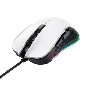 EURA IP GATEWAY ACA-20C9, skirta įrenginiams su TT Lock programa