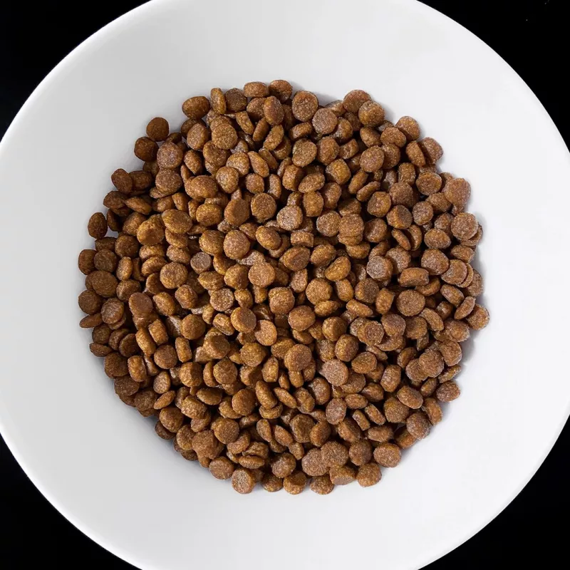 VET RESPONSE Gastrointestinal sausas kačių ėdalas 1,6 kg