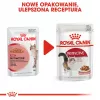 Royal Canin FHN Instinctive drėgnas pašteto tipo kačių maistas suaugusioms katėms, 12 x 85 g
