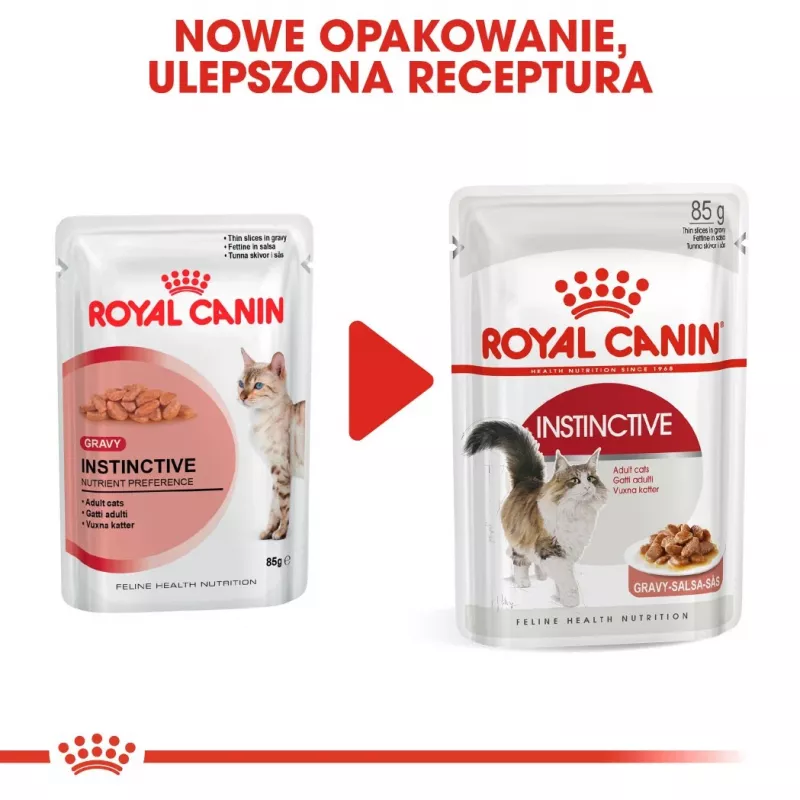 Royal Canin FHN Instinctive drėgnas pašteto tipo kačių maistas suaugusioms katėms, 12 x 85 g