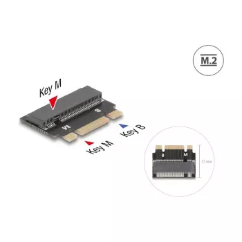DeLOCK 64342 Vidinė M.2 adapterio plokštė, M.2 vyriškas, juoda