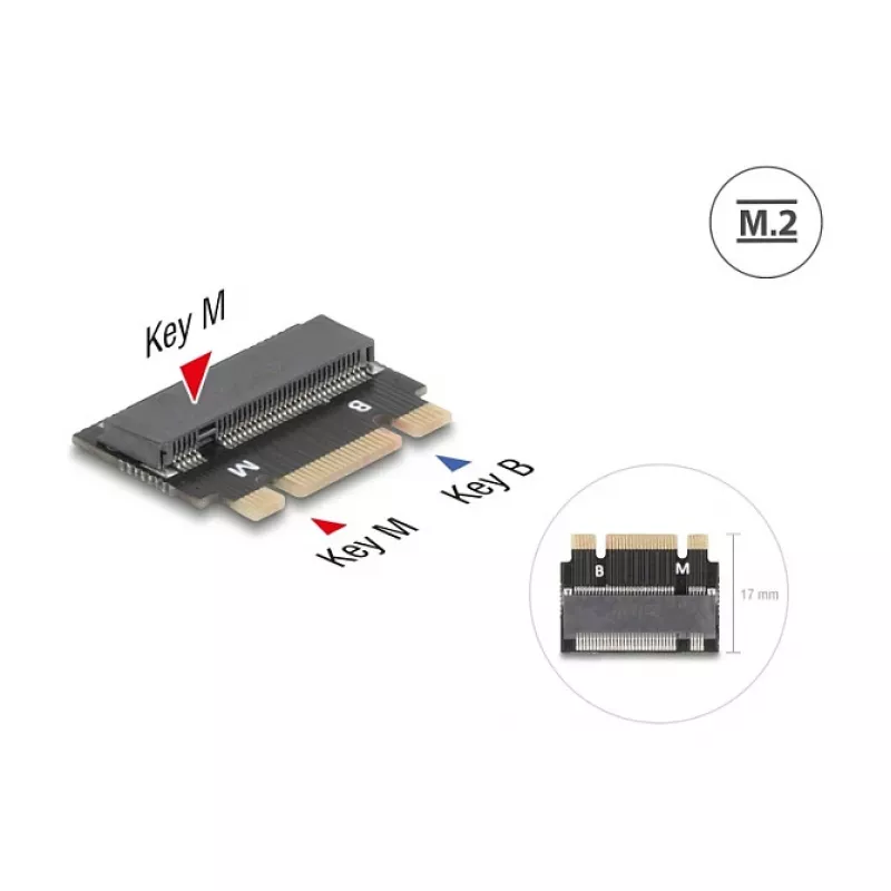 DeLOCK 64342 Vidinė M.2 adapterio plokštė, M.2 vyriškas, juoda