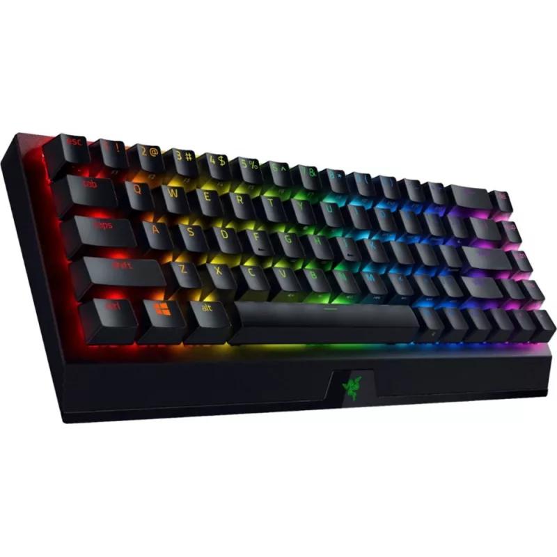 Klaviatūra Razer BlackWidow V3 Mini
