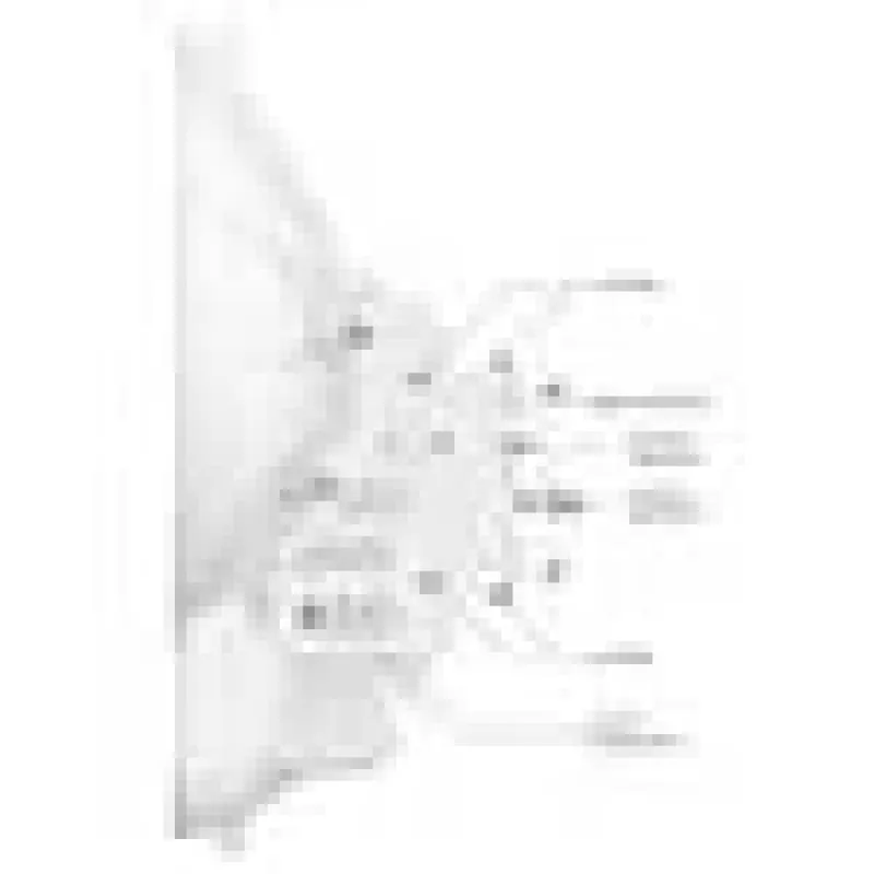 Ubiquiti AirFiber AF-24HD, 2Gbps+ magistralė, 24 GHz (kaina už vnt.)