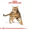 Royal Canin Bengal Adult sausas kačių maistas, 2 kg, paukštiena ir daržovės