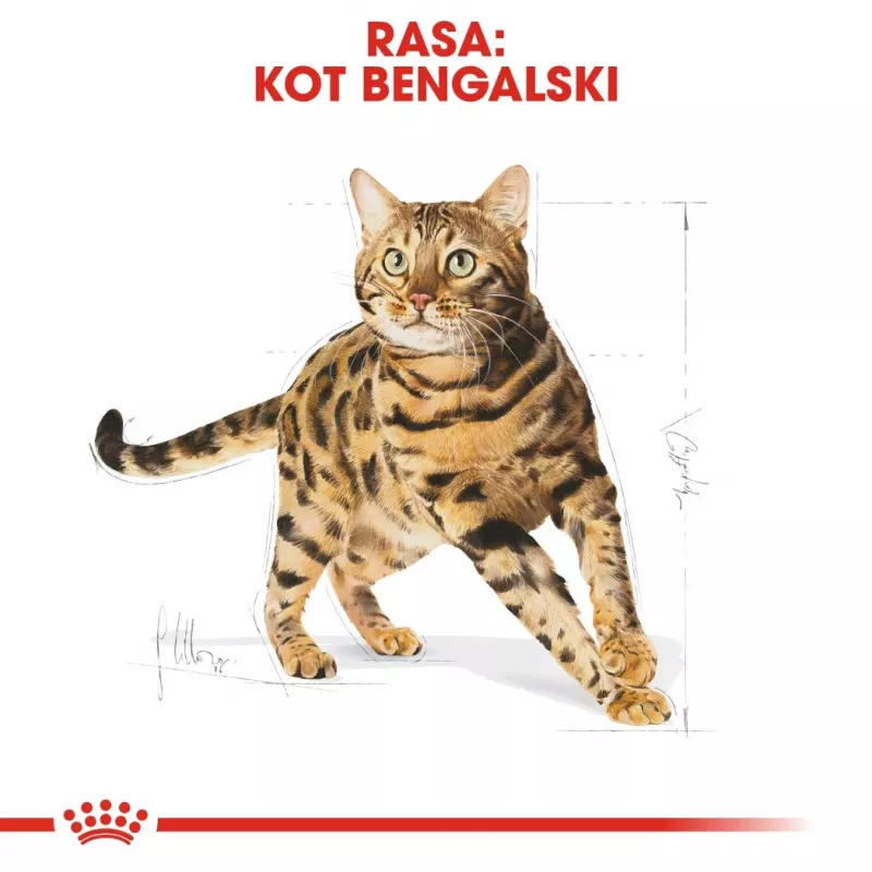 Royal Canin Bengal Adult sausas kačių maistas, 2 kg, paukštiena ir daržovės