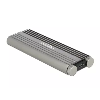 SSD korpusas DeLOCK 42001 Sidabrinis M.2