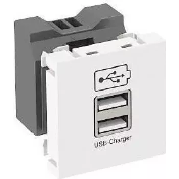 OBO USB įkroviklis m. 2.1A Ladestrom MTG-2UC2.1 RW1 - 45 x 45 mm (6105300)