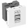 OBO USB įkroviklis m. 2.1A Ladestrom MTG-2UC2.1 RW1 - 45 x 45 mm (6105300)