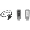 Zebros LNYD-000060W-04 dirželis su atitraukikliu ir silikoniniu dangteliu