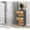 Komoda Top e Shop W5 ANT/ART, 5 stalčių, antracitas/ąžuolas, medžio drožlių plokštė