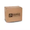 Zebra P1058930-013 spausdinimo galvutė termoperkėlimui