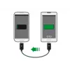 USB kabelis DeLOCK 83570 USB 2.0 0,3 m USB B juodas