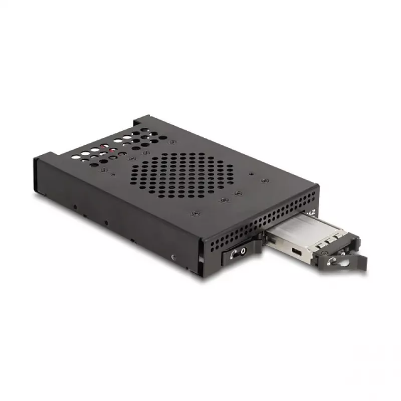 SSD korpusas DeLOCK 47117 3.5 col. mobilus stovas 2 x M.2 NVMe SSD