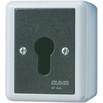 Raktinis jungiklis JUNG 806.28 G — 2P, laidinis, 250 V AC, 16 A, juodas/baltas