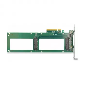 DeLOCK PCI Express 4.0 x8 kortelė 2 x vidiniai U.2 NVMe SFF-8639 su bifurkacija