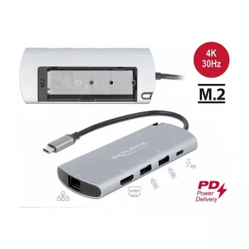 Docking stotelė DeLOCK USB Type-C su M.2 lizdu