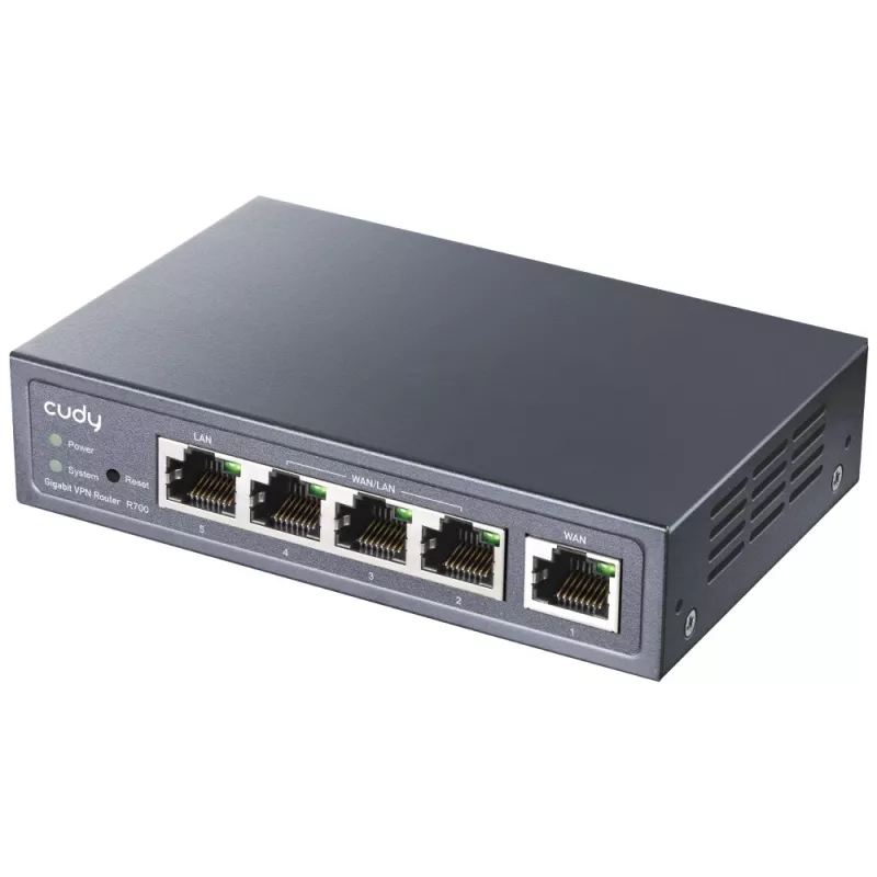 Cudy Gigabit Multi-WAN VPN maršrutizatorius, vielinis, Fast Ethernet, Gigabit Ethernet, pilka