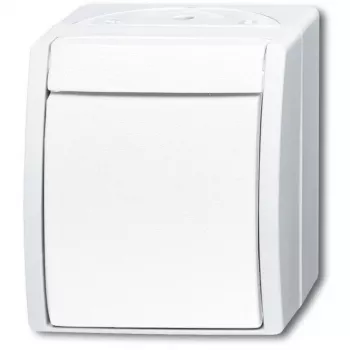 BUSCH-JAEGER Wipptaster/Schliesser 2621W-54 ocean alpinweiss 2621W-54 (1484-0-0380)