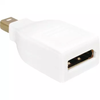 Adapteris DisplayPort Mini M / DP FM Delock, baltas