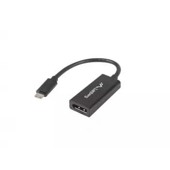 Vaizdo kabelio adapteris Lanberg AD-UC-DP-01