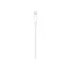 Apple Lightning į USB kabelis 1 m MUQW3ZM/A