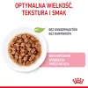 Šlapias kačių ėdalas Royal Canin Sterilised Gravy, 12 x 85 g pakeliai – vištiena, sterilizuotiems kačiukams, 11% baltymų, 80,5% drėgmės