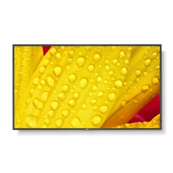 NEC MultiSync M651-2 profesionalus ekranas 65 colių LED 4K Ultra HD 500 cd/m² juodas