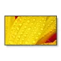 NEC MultiSync M651-2 profesionalus ekranas 65 colių LED 4K Ultra HD 500 cd/m² juodas