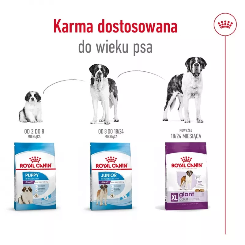 ROYAL CANIN Giant Adult – sausas šunų maistas – 15 kg