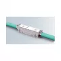 Easylan CKEFFL00 Ethernet Patch Laidas Sidabrinis